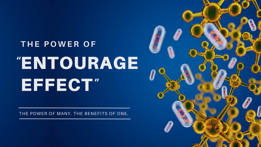 The969 Tailored Supplement Cocktail Bundles & The Power of "Entourage Effects"